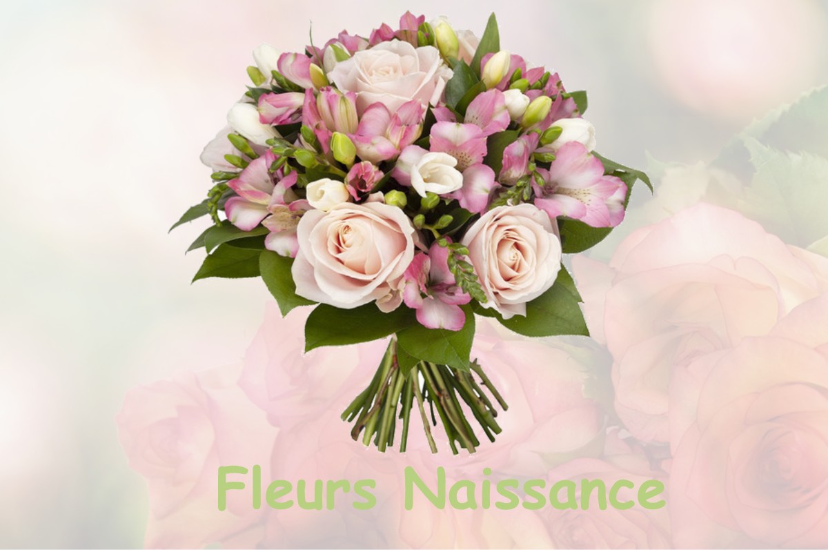 fleurs naissance BOISCOMMUN