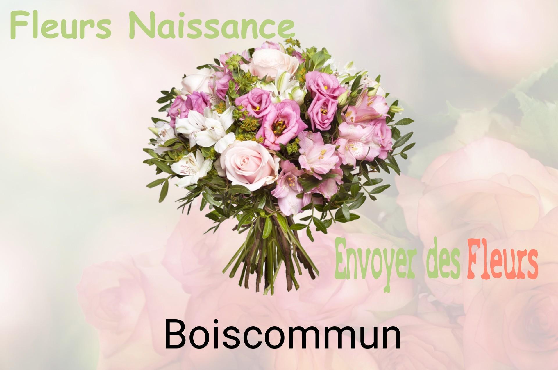 Bouquet de fleurs de naissance livré à Boiscommun